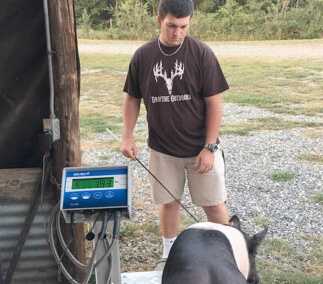 Fifth annual Digi-Star Champion Contest to kick off