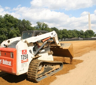 Putting a Face on the Country