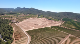 Inova&ccedil;&atilde;o em uma vin&iacute;cola catal&atilde; tradicional